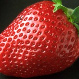 strawberry-82529_1280